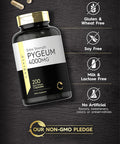Carlyle Pygeum Africanum Bark | 200 Capsules | High Potency Extract | Non-GMO Gluten Supplement