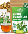50 Bags White Mulberry Tea Mulberry Leaf Herbal Tea (Morus Alba) - 50 Count 1.5g Bags Herb Hoja De Morera