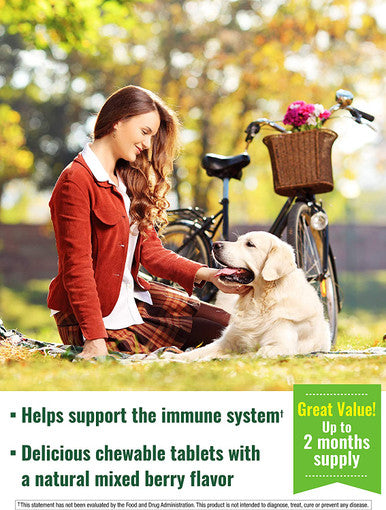 Elderberry Immune Support | 60 Chewable Tablets | with Vitamin C and Zinc | Non GMO and Gluten Complex | Mixed Berry Flavor | by Nature's Truth