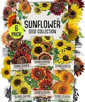 Seed Needs Sunflower Seeds Variety Pack of 6 Flowers for a Butterfly Garden