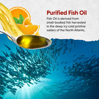 Barlean's Organic Oils Fresh Catch Fish Oil Orange Flavor 8-Ounce Bottle