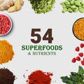 Upnourish Chocolate Vegan Protein Powder 54 Superfoods Powder,1.5 Billion Cfu Probiotics 21G Plant Based Protein,No Sugar No Dairy No Gmo Dairy ,Meal Replacement Shake, Low-Carb Diet,15 Servings