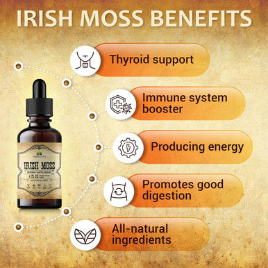 HERBALICIOUS Natural Irish Moss Extract - Organic Drops For Thyroid Function Support, Digestion, Energy Boost - Liquid Dietary Supplement - Vegetarian-Friendly Formula - 4Oz Bottle