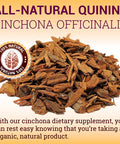 HERBALICIOUS Quinine Capsules - Cinchona Officinalis Bark Herbal Supplement For Muscle, Cramp Defense And Overall Digestive Health - All-Natural Quinine Sulfate Pills, 500Mg Per Capsule, 160 Tablets