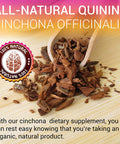 HERBALICIOUS Quinine Capsules - Cinchona Officinalis Bark Herbal Supplement For Muscle, Cramp Defense And Overall Digestive Health - All-Natural Quinine Sulfate Pills, 500Mg Per Capsule, 100 Tablets