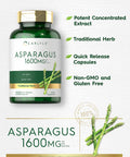 Carlyle Asparagus Supplement | 1600Mg | 250 Powder Capsules | Non-Gmo And Gluten Free Formula | High Potency Traditional Herb
