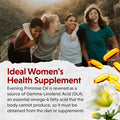 Barlean's Evening Primrose Oil Softgels Women 1300mg GLA Non GMO