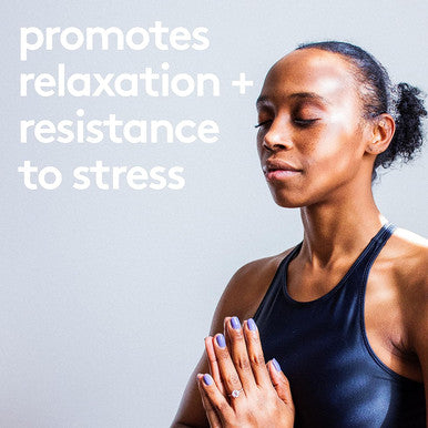 HEAL + CO. Stress Complex | Ashwagandha + L-Theanine | Stress + Relaxation Support | 120 Capsules