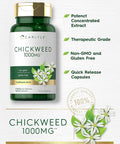 Carlyle Chickweed Capsules | 1000mg | 120 Count | Non-GMO Gluten Extract | Herbal Supplement