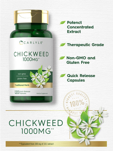 Carlyle Chickweed Capsules | 1,000Mg | 120 Count | Non-Gmo, Gluten Free Extract | Herbal Supplement