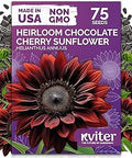 75 Chocolate Cherry Sunflower Heirloom Flower Seeds, Helianthus Annuus | Sunflowers Variety, Long Vase Life Blooms, Heirloom Seeds, Annual Flower Seeds for Planting in Home Garden