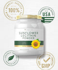 Carlyle Sunflower Lecithin Powder | 2 Pounds | Unflavored | Naturally Occurring Phosphatidylcholine | Vegetarian Soy Non-GMO Gluten