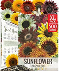 Seed Needs Crazy Sunflower Seeds to Plant Helianthus Cut Flowers XL Pack