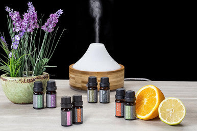 Aromatherapy Oils 100% Pure Basic Essential Oil Gift Set by Wasserstein (Top 8, 10ml)