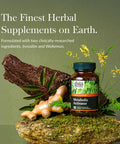 Gaia Herbs Metabolic Activator - Natural Energy Supplement For Metabolism Support - Made With Panax Notoginseng & Astragalus Extract - From Dairy, Soy & Gluten - 60 Capsules (60 Servings)
