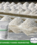 Sea Salt Superstore Flaky Sea Salt Hand Harvested Sea Salt Flakes Baja Fleur de Sel Flake Salt Gourmet Finishing Flaky Salt for Baking and Cooking 7 oz Bag