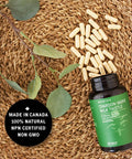 Milk Thistle Natural Liver Detox Boost Immune System 90 Capsules