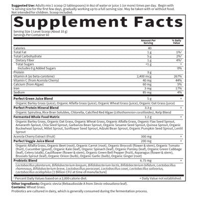 Garden of Life Whole Food Vegetable Supplement - Perfect Food Green Superfood Dietary Powder 600G