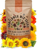 Sunflower Mix Seeds Pack 8 oz - Over 10,300 Non-GMO Heirloom Sunflower Seeds for Planting, Annual Flowers in Individual Seed Packet for Planting Home Garden Indoor & Outdoor Gardening