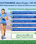 Asquared Nutrition Nicotinamide With Resveratrol - 120 Veggie Capsules - Vitamin B3 500Mg (Niacinamide Flush Free) - Supplement Pills To Support Nad, Skin Cell Health & Energy