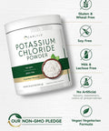 Carlyle Potassium Chloride Powder Supplement 16 oz Food Grade Salt Substitute Vegan Vegetarian Non GMO Gluten