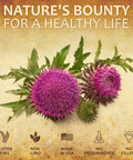 HERBALICIOUS Liver Detox Capsules Milk Thistle - All-Natural Cleansing Formula Supports Health And Liver Function, Immune System Boost And Skin Health - Silymarin Nutritional Supplement - 100 Caps
