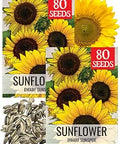 Seed Needs Dwarf Sunspot Sunflower Seeds to Plant Helianthus Annuus 2 Pack