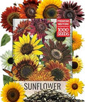 Seed Needs Sunflower Seeds to Plant Original Crazy Blend 1 Ounce Bulk Pack