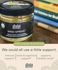 Gaia Herbs Mind Spring - Herbal Mushroom Supplement Powder to Help Maintain Brain Health and Recall-with Lions Mane, Turmeric Curcumin,and Ginkgo-USDA Certified Organic-3.53 Oz(Up to 45-Day Supply)