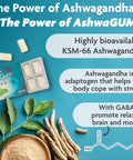 Ashwagum Relax Gum By Bettergum, High Potency Supplement With Ksm 66 Ashwagandha And Gaba, Supports Stress And Tension Relief, Alternative To Gummies, Sugar-Free, 10 Pieces - 6 Pack