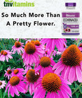 Echinacea Capsules (1500 MG x 180 Capsules) | Supports Health & Well-Being | Echinacea Root Herbal Extract Supplement | Produced in The USA | TNVitamins
