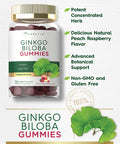 Carlyle Ginkgo Biloba 300Mg | 70 Gummies | 45:1 Leaf Extract | With Natural Peach Raspberry Flavor | Vegan, Non-Gmo, Gluten Free