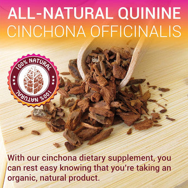 Herbalicious Quinine Liquid Extract 2oz - Cinchona Officinalis Bark Herbal Supplement for Leg Cramping Relief Cramp Defense and Overall Digestive Health - All-Natural Quinine Boosting Immune System
