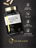 Pygeum Standardized 1300Mg | 240 Capsules | Non-Gmo, Gluten Free | Pygeum Africanum Bark Extract Supplement | By Carlyle