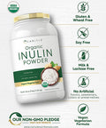 Carlyle Organic Inulin Powder 48oz | Fiber Supplement from Jerusalem Artichoke | for Probiotic Health | Vegan, Vegetarian, Non-GMO, Gluten Free