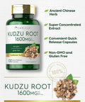 Carlyle Kudzu Root | 100 Extract Capsules | Non-GMO and Gluten Formula | Traditional Herbal Supplement