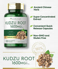 Carlyle Kudzu Root | 100 Extract Capsules | Non-Gmo And Gluten Free Formula | Traditional Herbal Supplement
