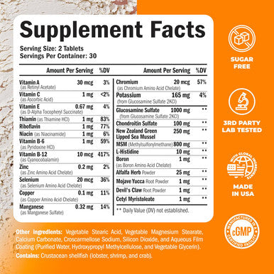 Glucosamine Chondroitin Msm Joint Support Supplement With Glucosamine Sulfate 1000 Mg Plus 15 Nourishing Joint Vitamins - Joint Health Chondroitin Sulfate Msm Supplement For Women And Men - 60 Tablets