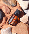 Nature s Fusions Nutmeg 100% Pure and Essential Oils 15 mL