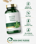 Carlyle Neem Leaf | 950Mg | 300 Powder Capsules | Non-Gmo And Gluten Free Formula | Value Size | Traditional Herbal Supplement |