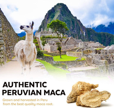 Viva Naturals Organic Maca Powder Gelatinized Maca Powder Organic Pervuian Superfood Traditionally Used for Energy Certified Organic Gluten Free and Non GMO 1 lb Bag