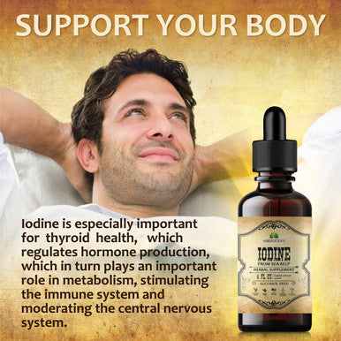 HERBALICIOUS Natural Iodine Extract - Sea Kelp - Drops For Thyroid Function Support, Digestion, Energy Boost - Liquid Dietary Supplement - Vegetarian-Friendly Formula - 4Oz Bottle