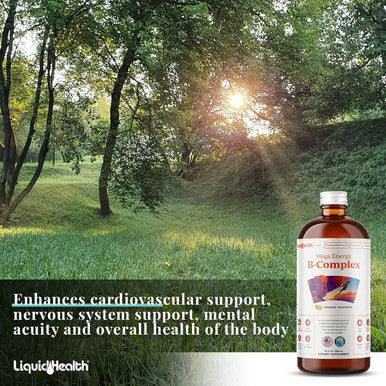 Liquidhealth Liquid Multivitamin for Kids Children and B Complex Liquid Super Energy Boost B Vitamins Supplements