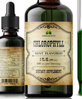 Herbalicious Liquid Chlorophyll Drops - Organic Sodium Copper Chlorophyllin Extract - Cleanse Support Immunity & Energy Boost Natural Deodorant & Detox Vegan Non-GMO Dietary Mint Flavor Green Tincture 2 fl Oz