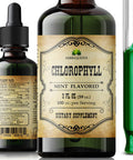 Herbalicious Liquid Chlorophyll Drops - Organic Sodium Copper Chlorophyllin Extract - Cleanse Support Immunity & Energy Boost Natural Deodorant & Detox Vegan Non-GMO Dietary Mint Flavor Green Tincture 2 fl Oz