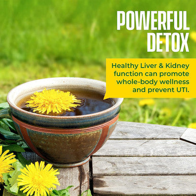 Kiss Me Organics Dandelion Root Tea - 1 Pack (20 Bags) Premium, Organic, Raw Digestive Tea - Detox Teabags to Cleanse & Help Boost Immunity