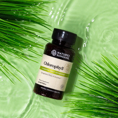 Nature'S Sunshine Chlorophyll, 60 Softgel Capsules | Helps Support The Body'S Blood-Cleansing Functions And Strengthens The Immun