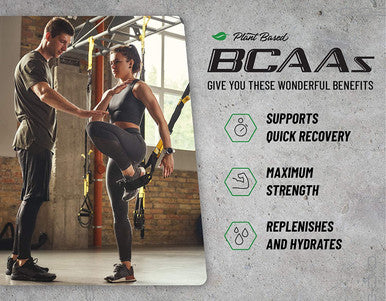 BCAA Powder Snap Shaker 2 Products