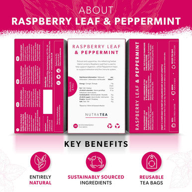 Nutra Tea - Raspberry Leaf & Peppermint Tea - Raspberry Leaf Tea For Pregnancy & Expectant Mothers - 20 Tea Bags - Herbal Tea - (1 Pack)