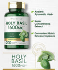 Carlyle Holy Basil Capsules 1600 mg | 200 Count | Tulsi Holy Basil Leaf Extract | Herbal Supplement | Non-GMO Gluten